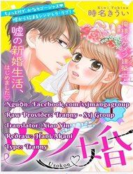 Chúng Ta Kết Hôn Giả Đi đọc online