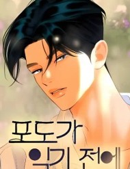 Trước Khi Mùa Nho Chín đọc online